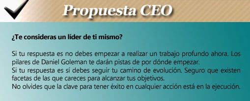 propuesta-ceo