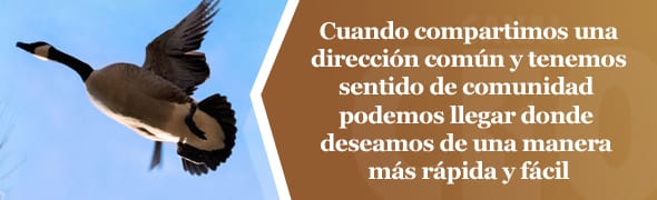 Sentido-de-comunidad4